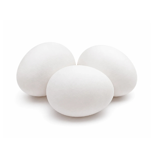 بيض ابيض عادي